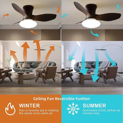 Modern black ceiling fan lamp for living room with remote control