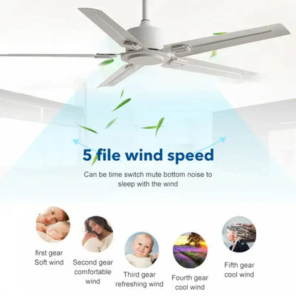 Modern black ceiling fan with 35w dc motor for living room