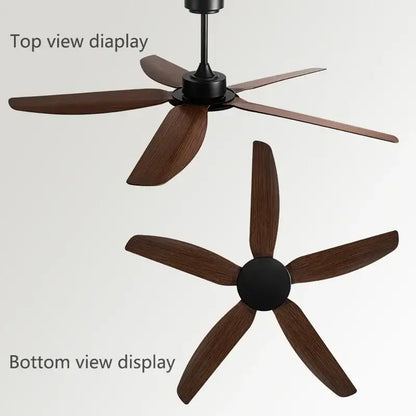 Modern black ceiling fan with remote control for commercial living room
