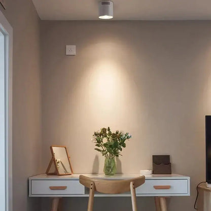 Modern black cylindrical pendant ceiling spot light for kitchen