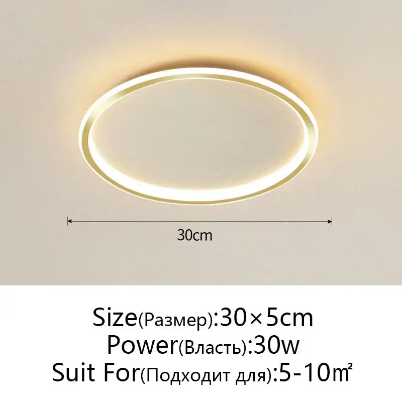 Modern black dimmable led ceiling light living room