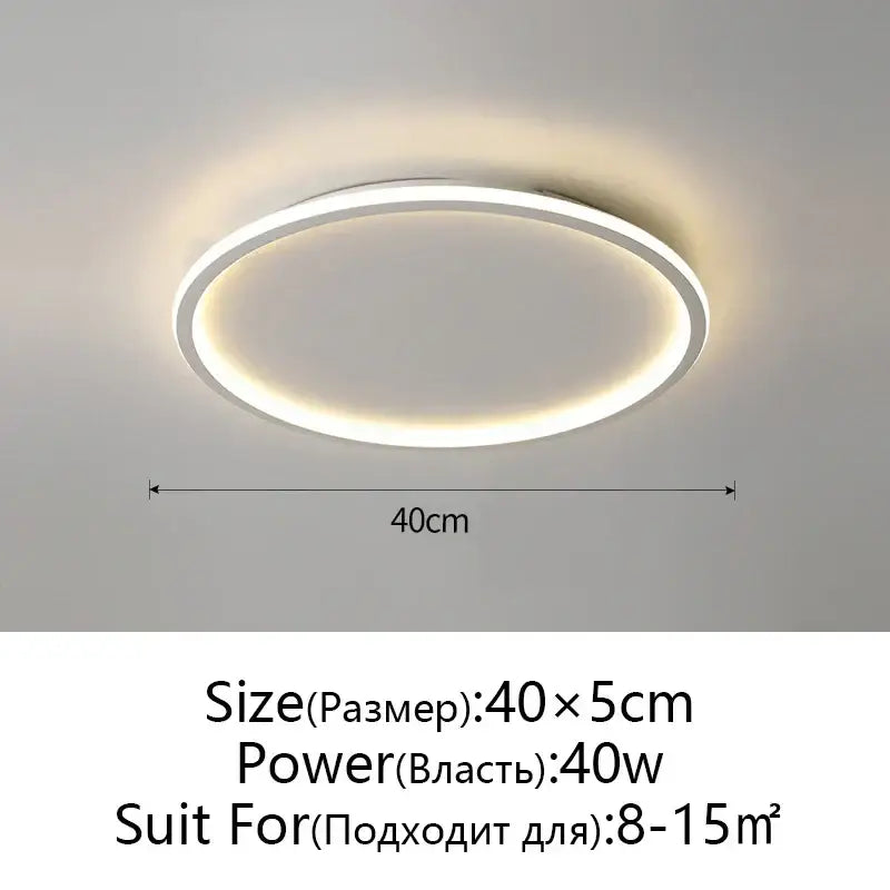 Modern black dimmable led ceiling light living room