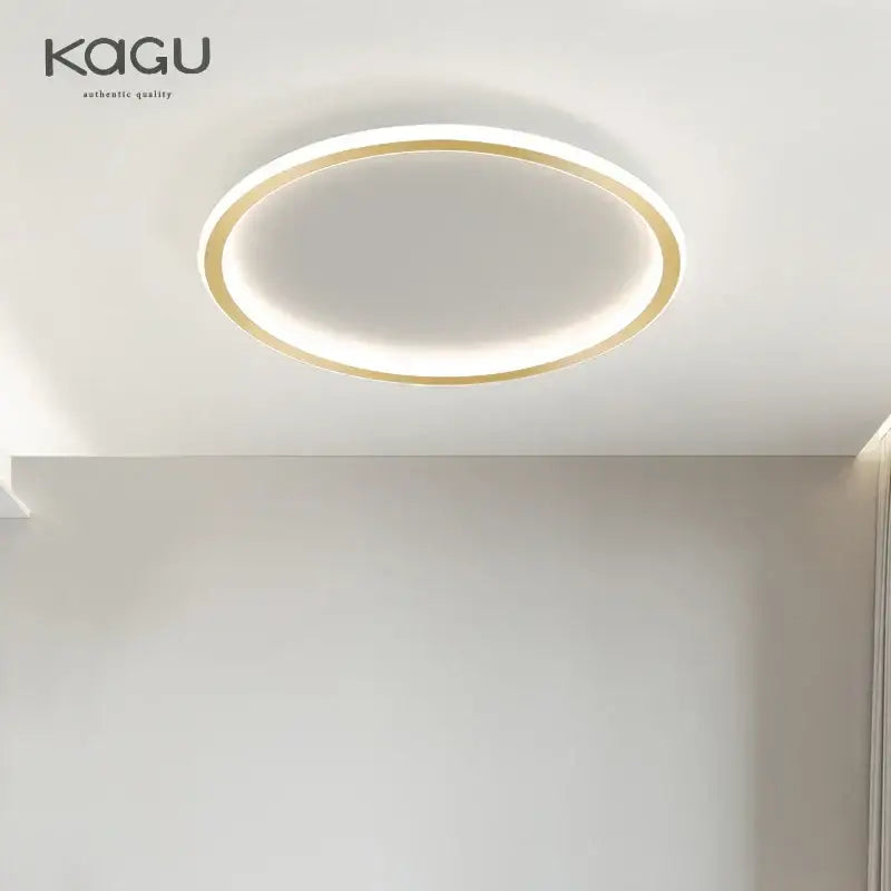 Modern black dimmable led ceiling light living room