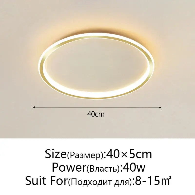 Modern black dimmable led ceiling light living room