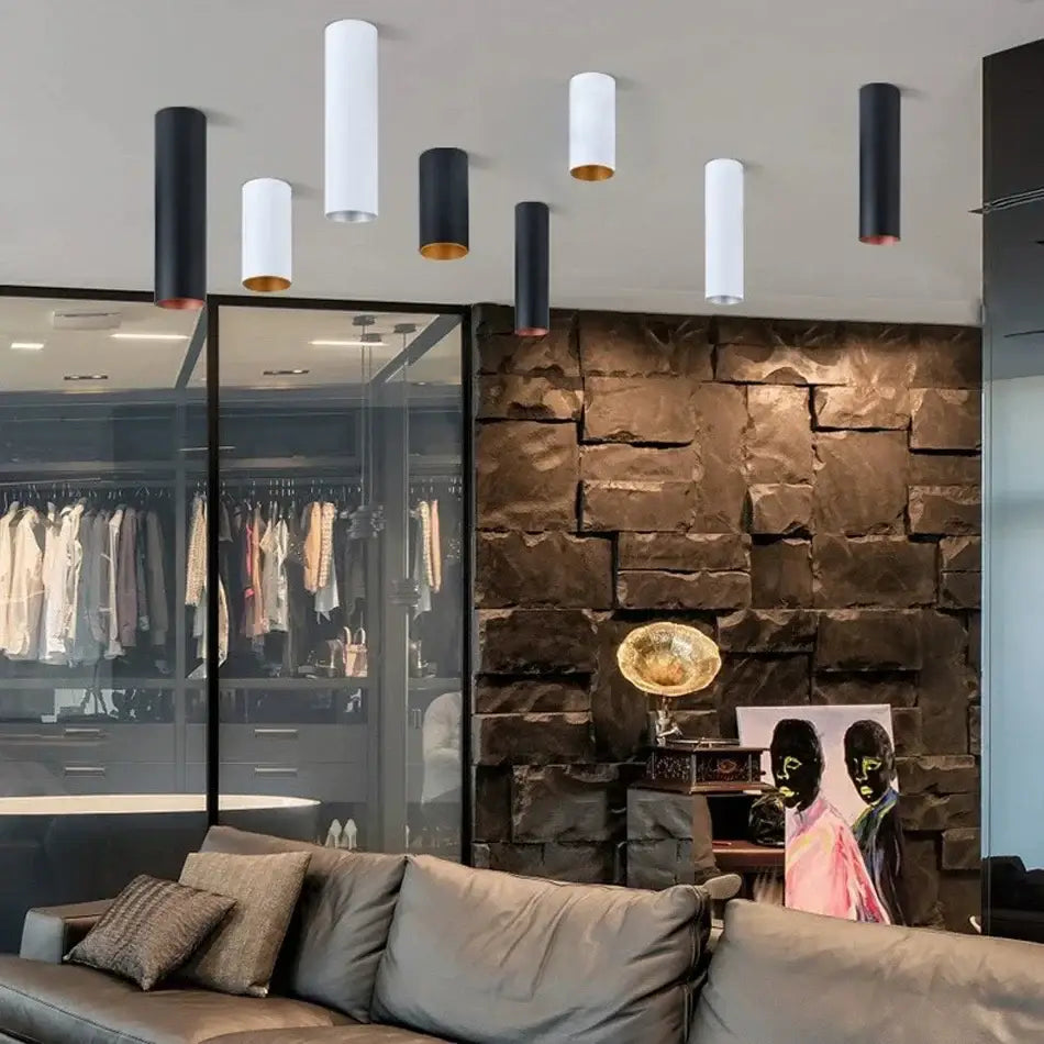 Modern black & gold dimmable led downlight living room ceiling light