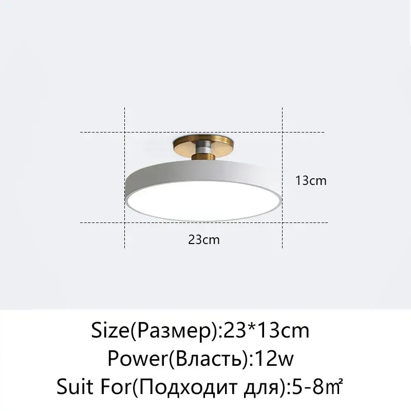 Modern black & gold led ceiling lamp living room circular light
