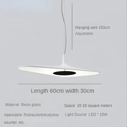 Modern black irregular art pendant lamp for living room