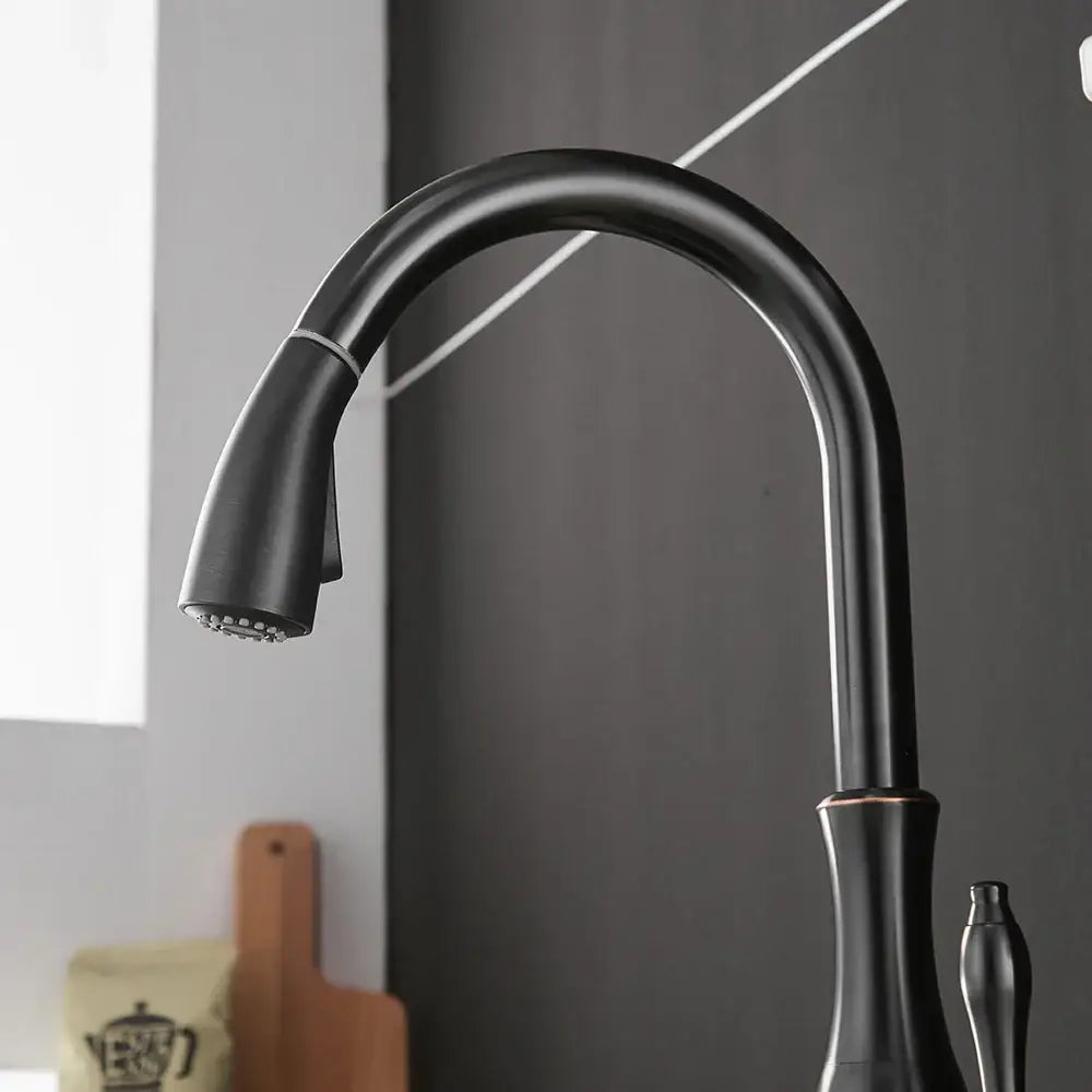 Modern black single handle kitchen faucet with curved swivel spout