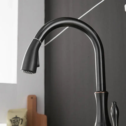 Modern black single handle kitchen faucet with curved swivel spout