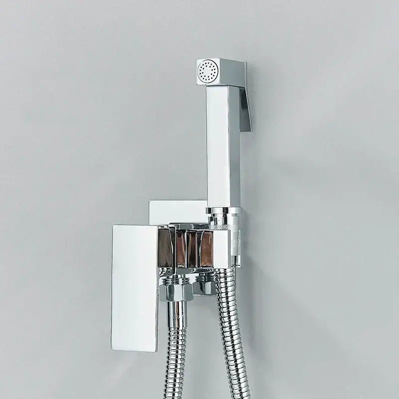 Modern black & stainless steel brass bidet faucet bathroom sprayer