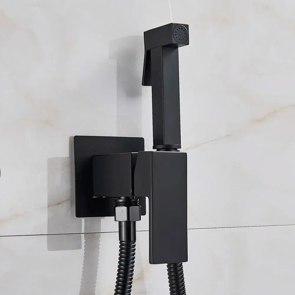 Modern black & stainless steel brass bidet faucet bathroom sprayer