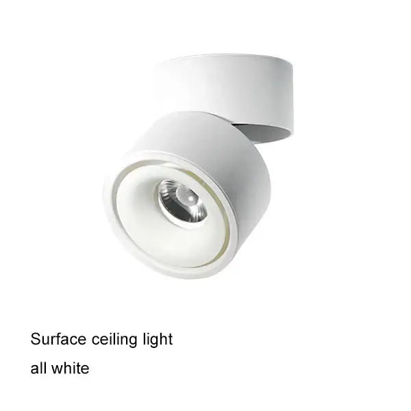 Modern black & white cob led ceiling spot light for living room