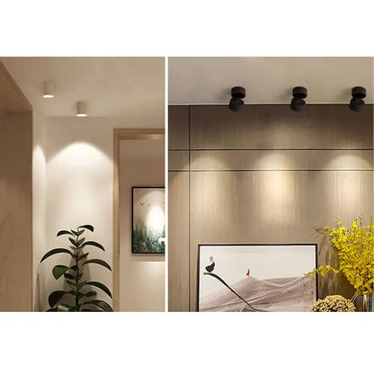 Modern black & white cob led ceiling spot light for living room