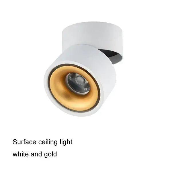 Modern black & white cob led ceiling spot light for living room