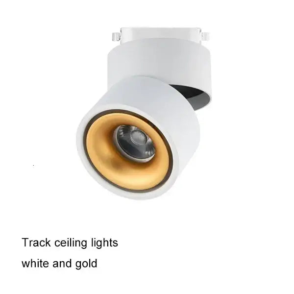 Modern black & white cob led ceiling spot light for living room