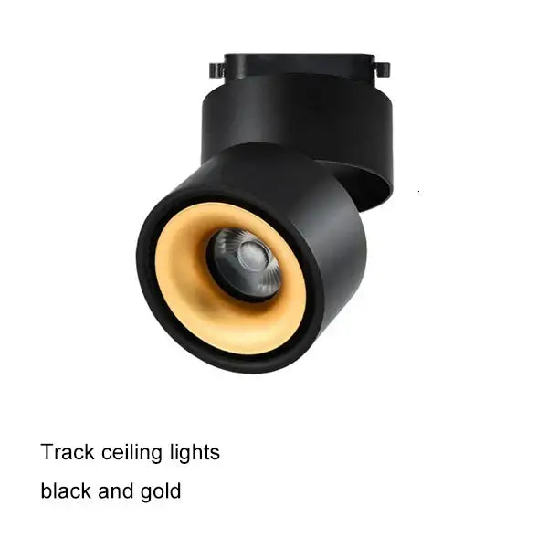 Modern black & white cob led ceiling spot light for living room