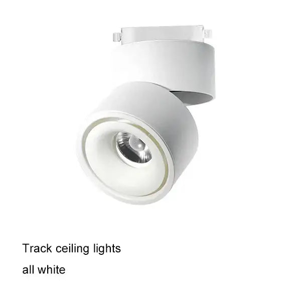 Modern black & white cob led ceiling spot light for living room