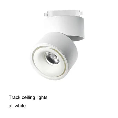 Modern black & white cob led ceiling spot light for living room