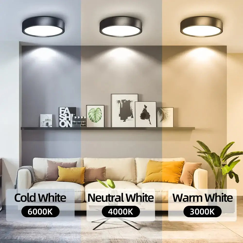 Modern black & white led ceiling lamp kitchen light