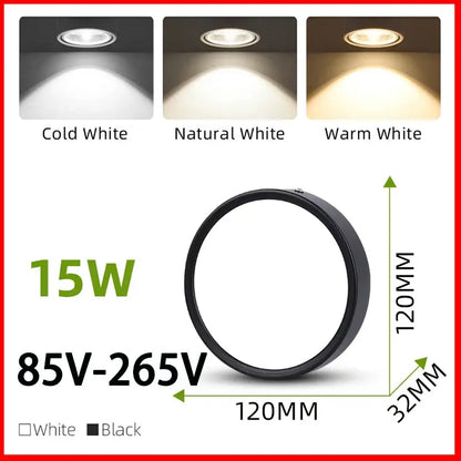 Modern black & white led ceiling lamp kitchen light