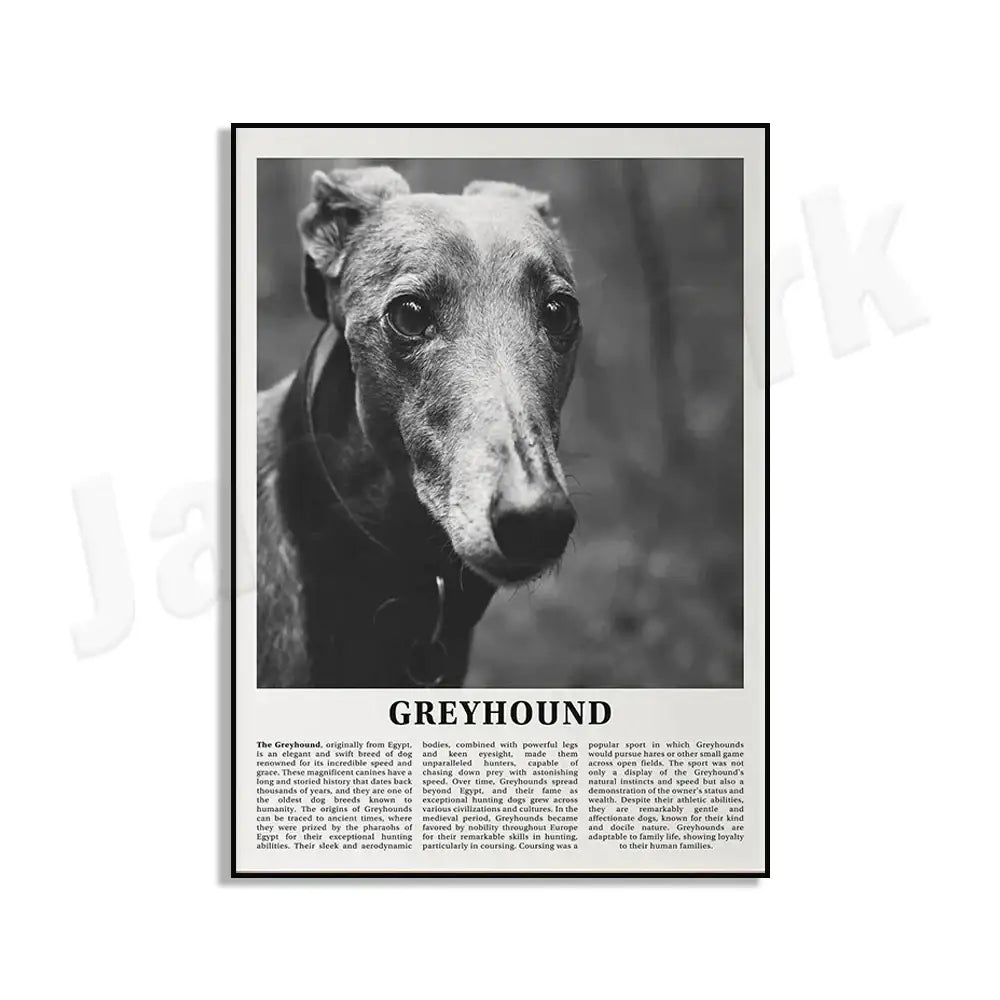 Modern black & white dog breeds poster set – living room wall art