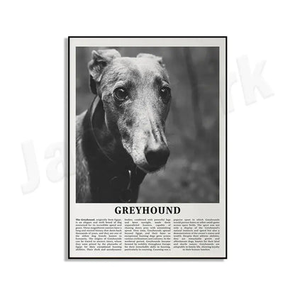 Modern black & white dog breeds poster set – living room wall art