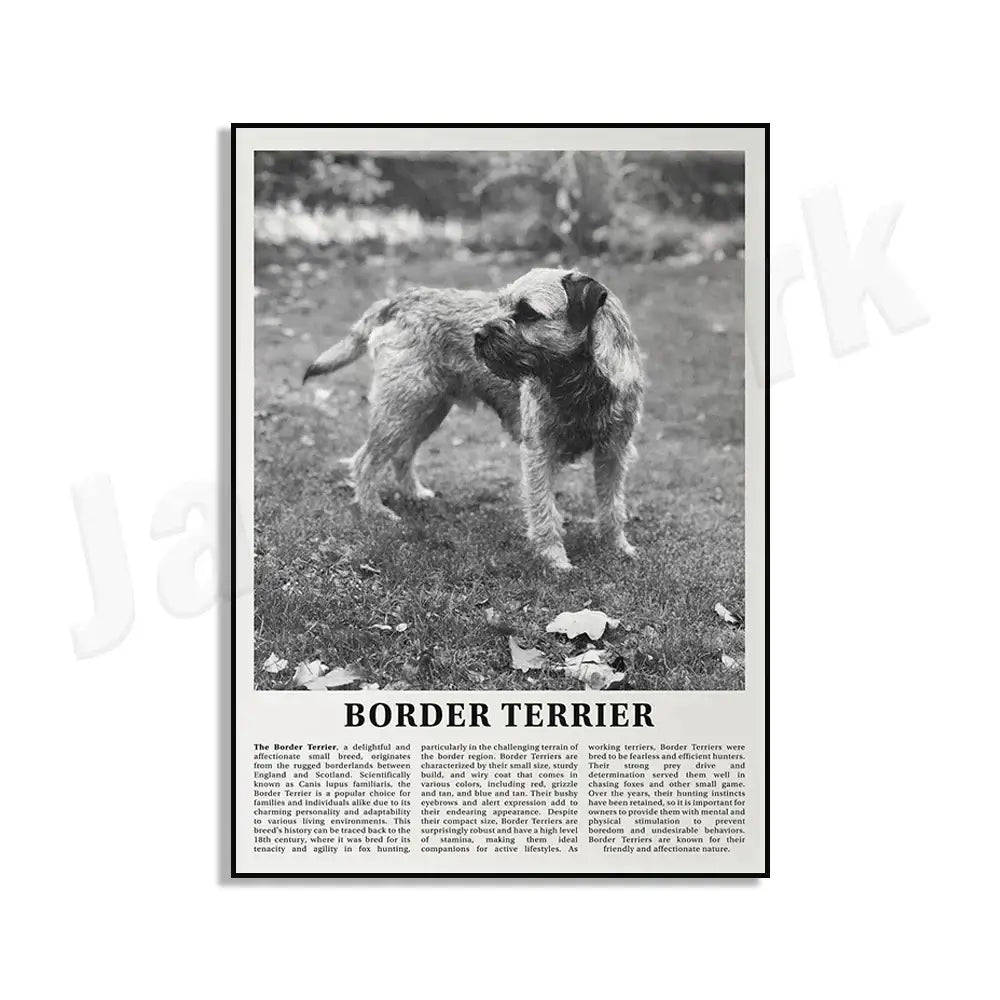 Modern black & white dog breeds poster set – living room wall art