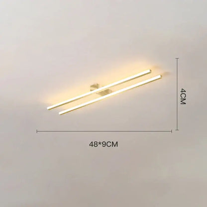 Modern black & white linear led ceiling light for living room