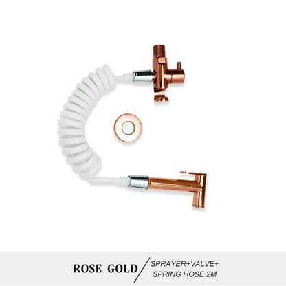 Modern brass bidet spray kit for bathroom with coiled hose