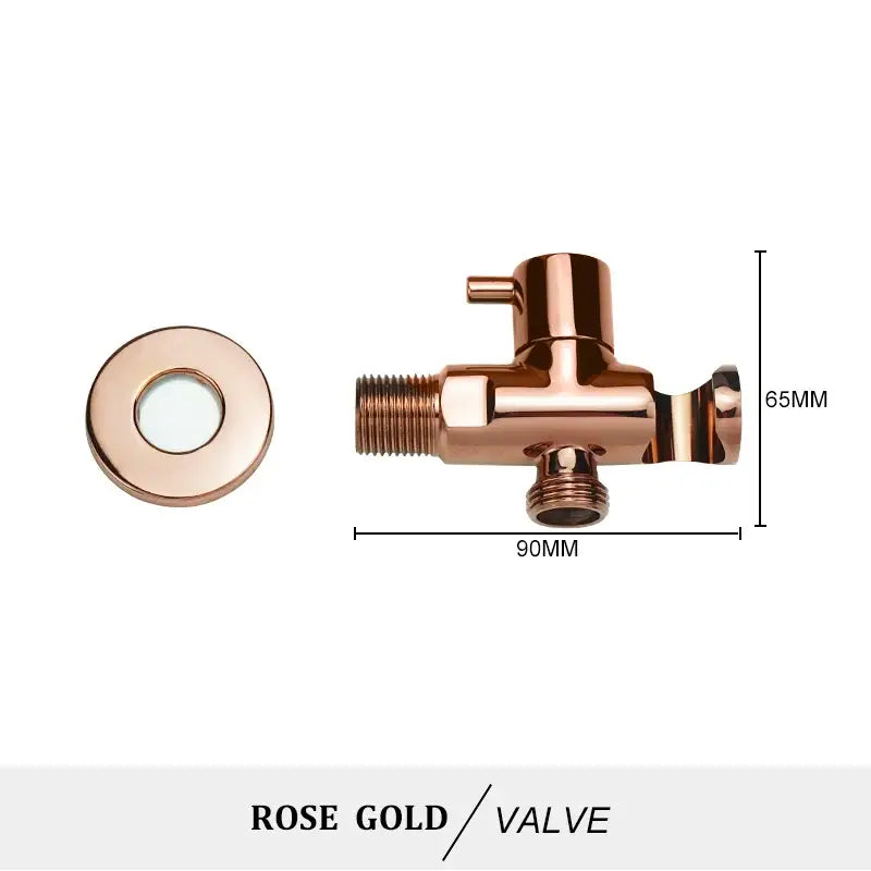 Modern brass bidet spray kit for bathroom with coiled hose