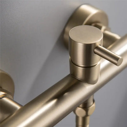 Modern brushed brass hand held bidet sprayer kit bathroom faucet