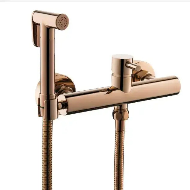 Modern brushed brass hand held bidet sprayer kit bathroom faucet