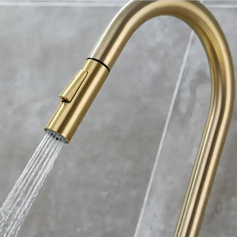 Modern brushed gold & black kitchen faucet with pull out hose