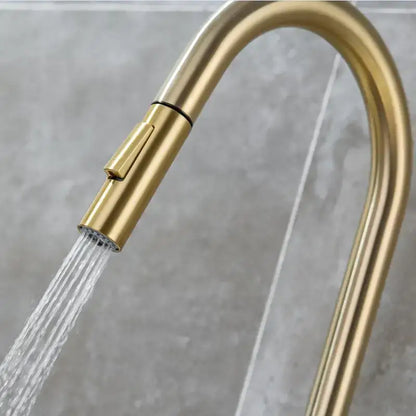 Modern brushed gold & black kitchen faucet with pull out hose