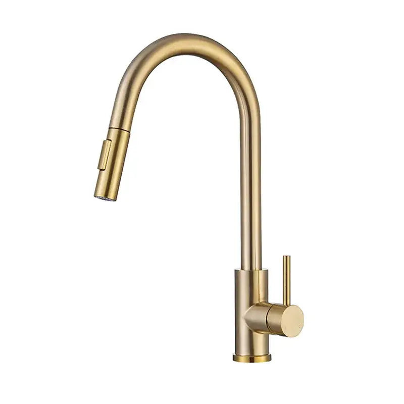 Modern brushed gold & black kitchen faucet with pull out hose
