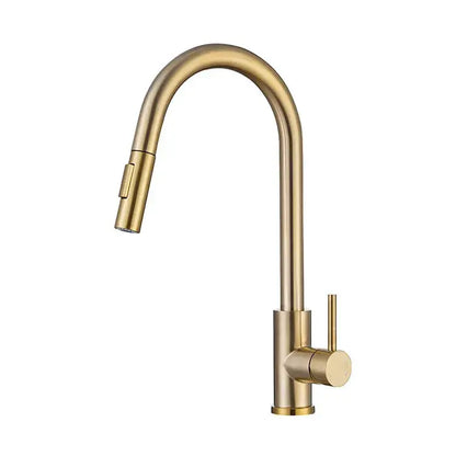 Modern brushed gold & black kitchen faucet with pull out hose