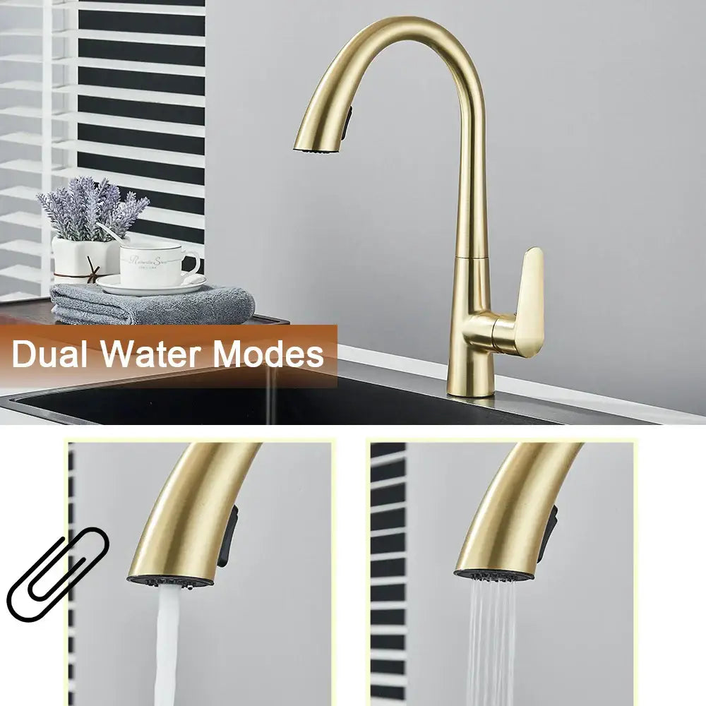 Modern brushed gold gourmet kitchen faucet with flexible pull out tap
