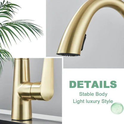 Modern brushed gold gourmet kitchen faucet with flexible pull out tap