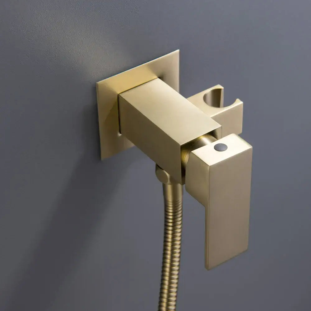 Modern brushed gold hand bidet sprayer kit bathroom shattaf