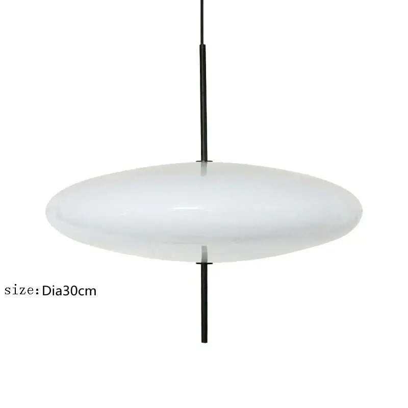Modern creative black iron pendant light – bar and restaurant design