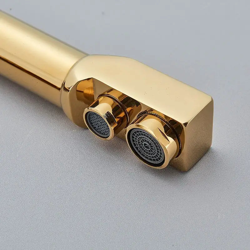 Modern dual outlet gold kitchen faucet with purified water outlet