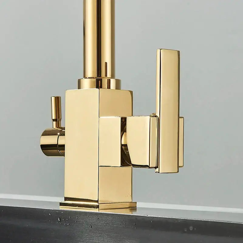 Modern dual outlet gold kitchen faucet with purified water outlet