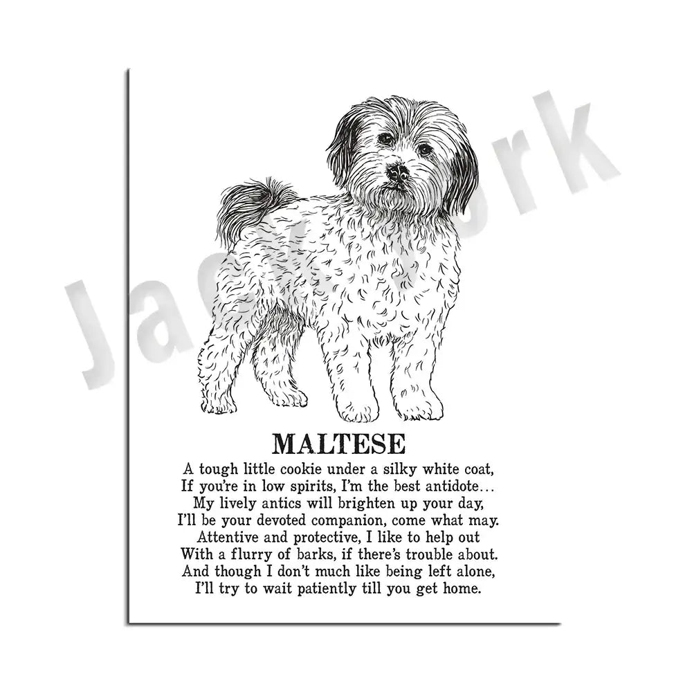 Modern framed black & white dog breed poster set bedroom wall decor