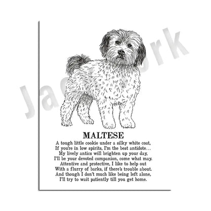 Modern framed black & white dog breed poster set bedroom wall decor