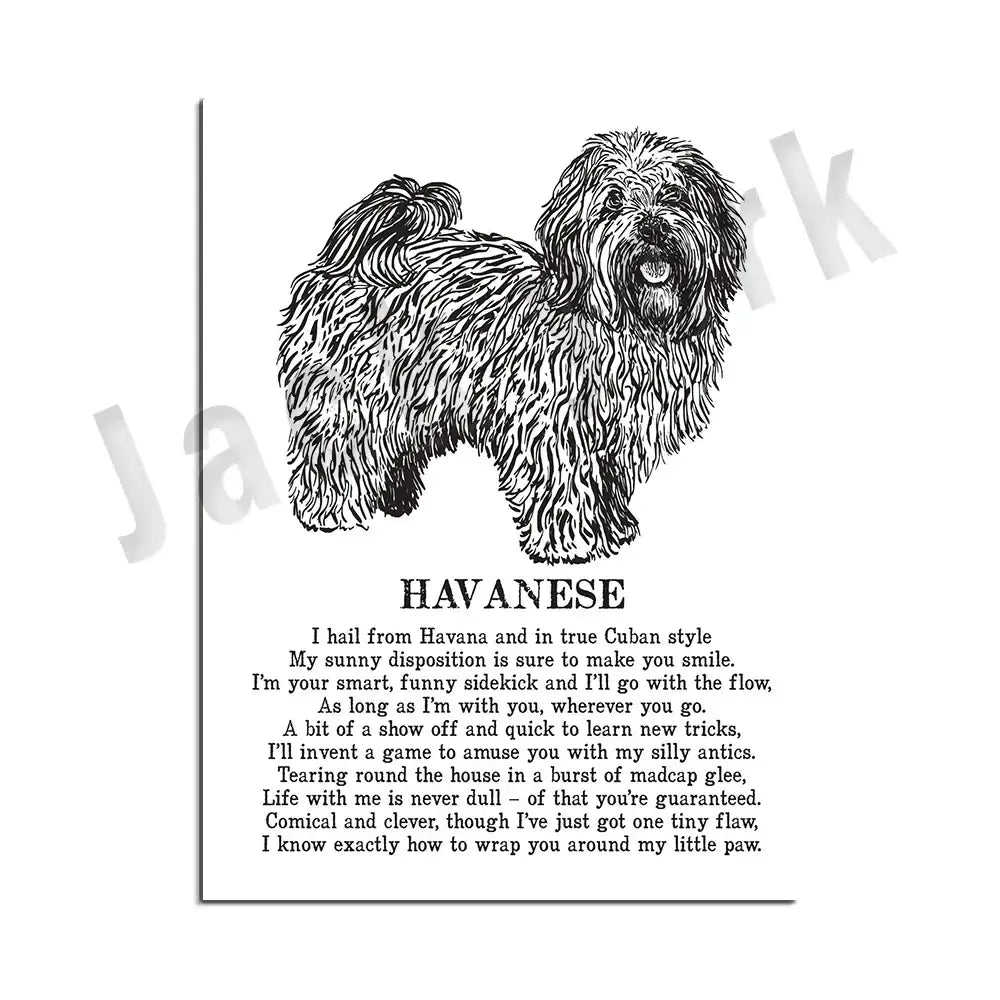 Modern framed black & white dog breed poster set bedroom wall decor