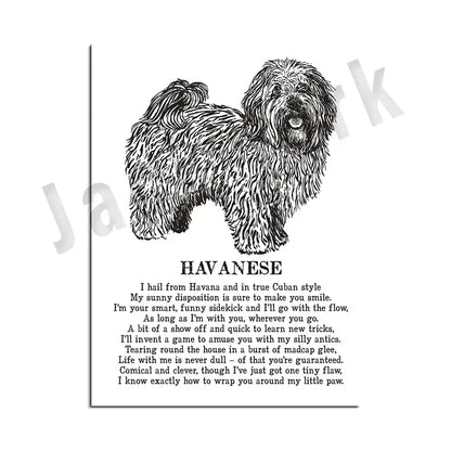 Modern framed black & white dog breed poster set bedroom wall decor