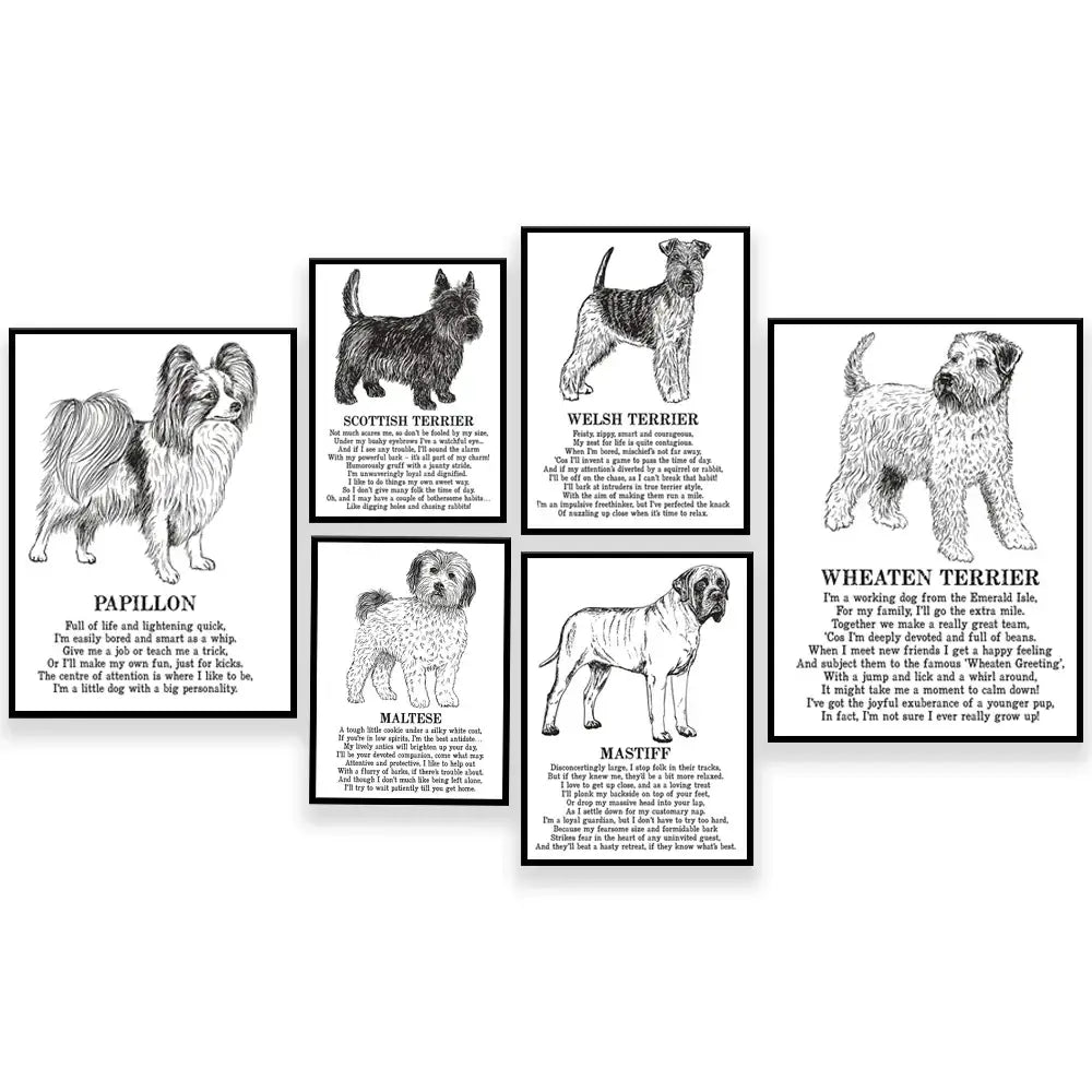 Modern framed black & white dog breed poster set bedroom wall decor