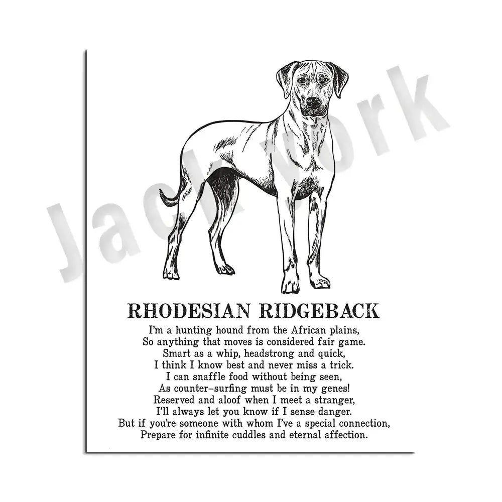 Modern framed black & white dog breed poster set bedroom wall decor