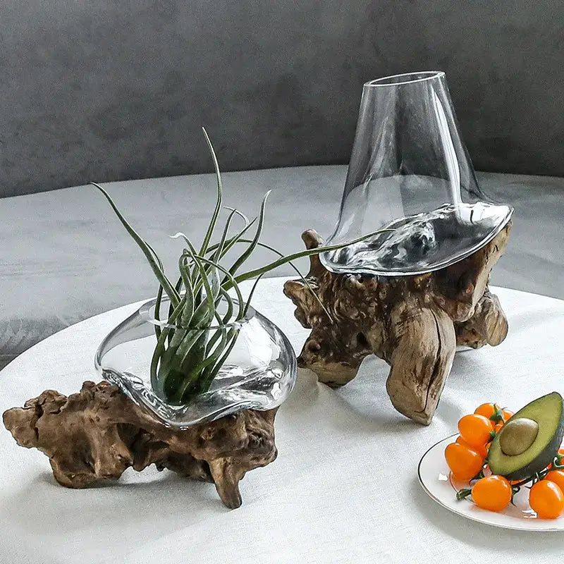 Modern glass bonsai vase hydroponic fishbowl living room decor