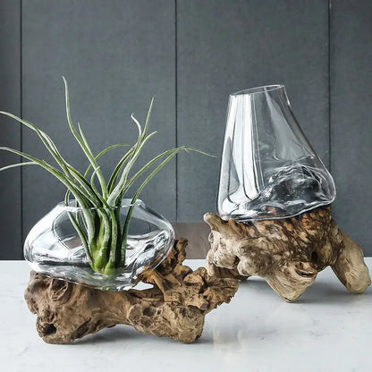 Modern glass bonsai vase hydroponic fishbowl living room decor